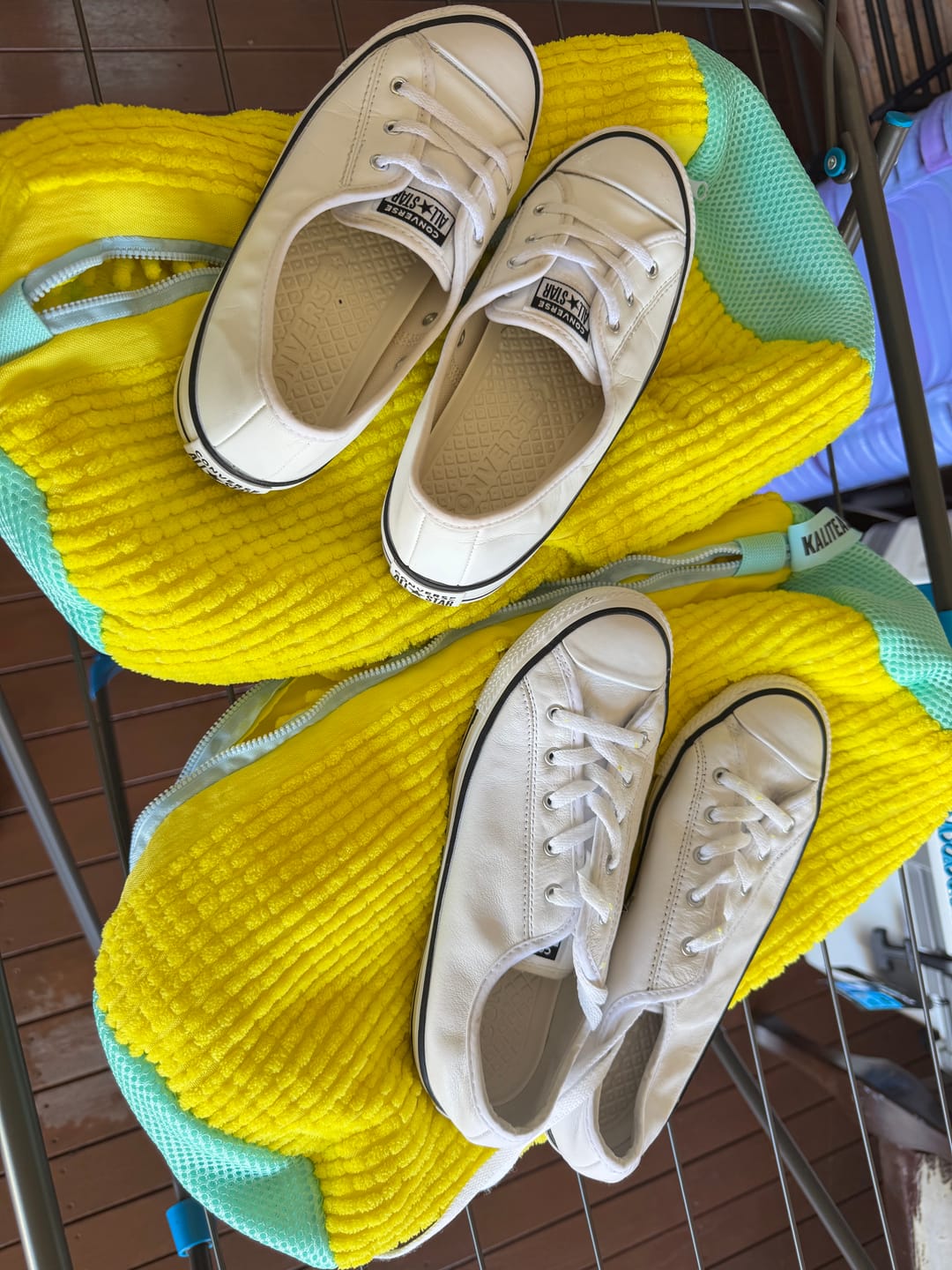 What is the best bag to wash shoes in?